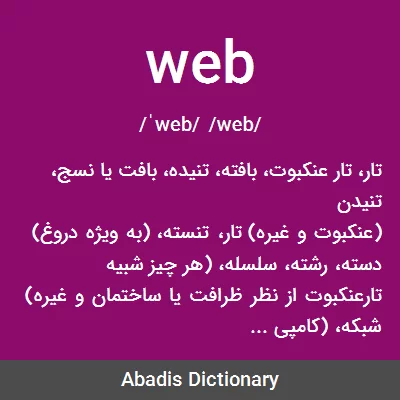 معنی web