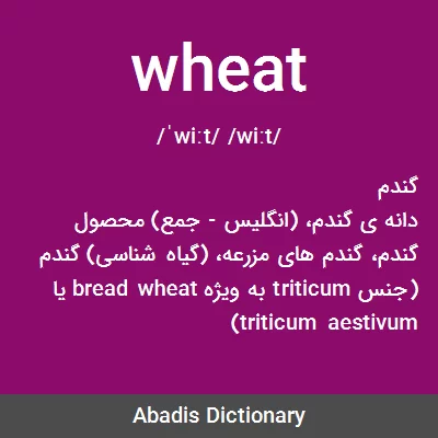 معنی wheat