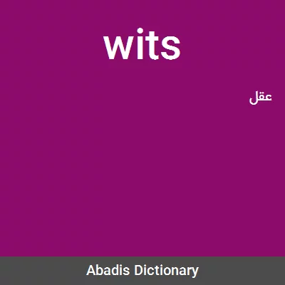 معنی wits