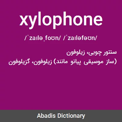 معنی xylophone