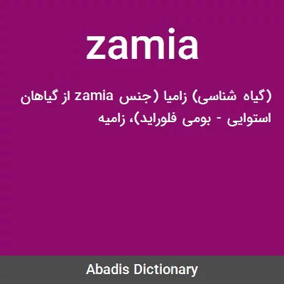معنی zamia
