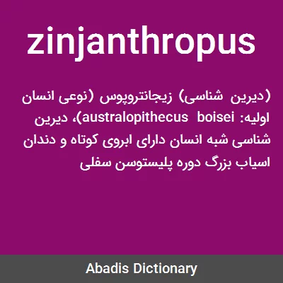 معنی zinjanthropus