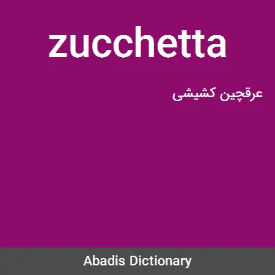 معنی zucchetta