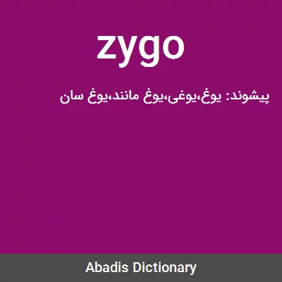 معنی zygo