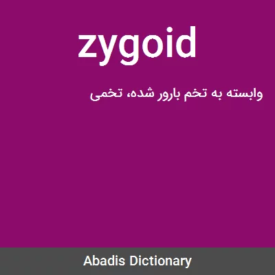 معنی zygoid