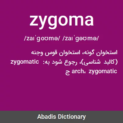 معنی zygoma