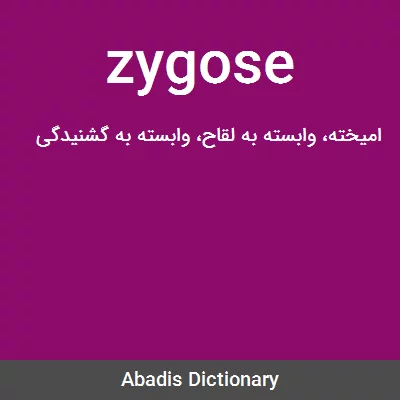 معنی zygose