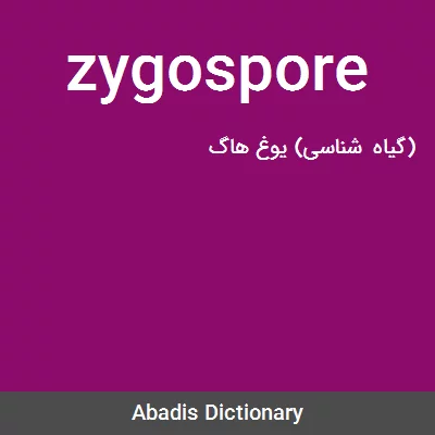معنی zygospore