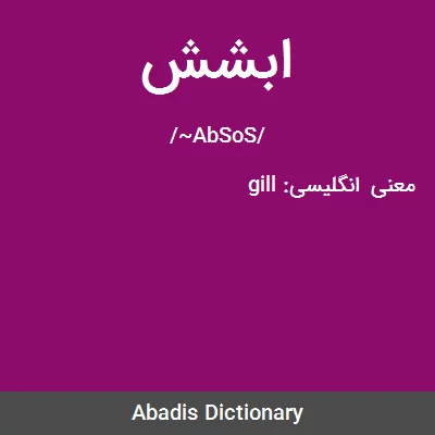 معنی ابشش