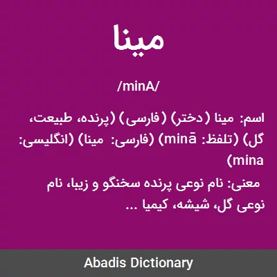 معنی مینا