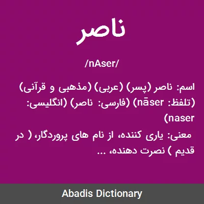 معنی ناصر