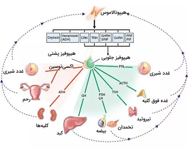 عکس پرسش