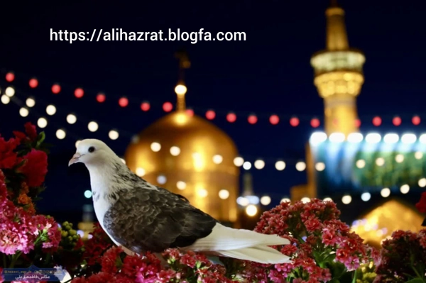 عکس پرسش
