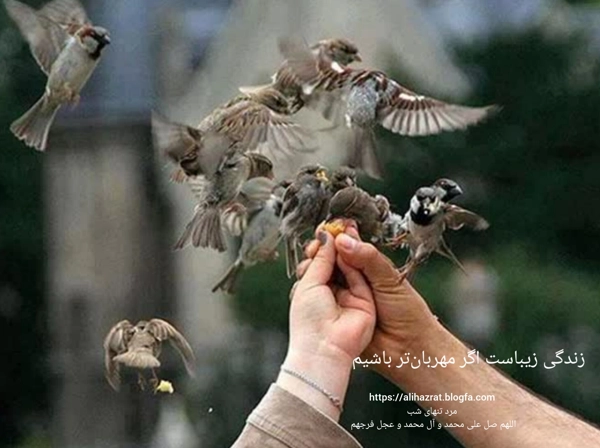 عکس پرسش