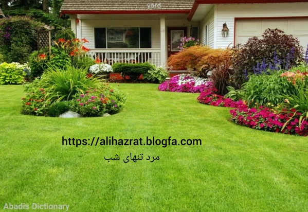 عکس پرسش