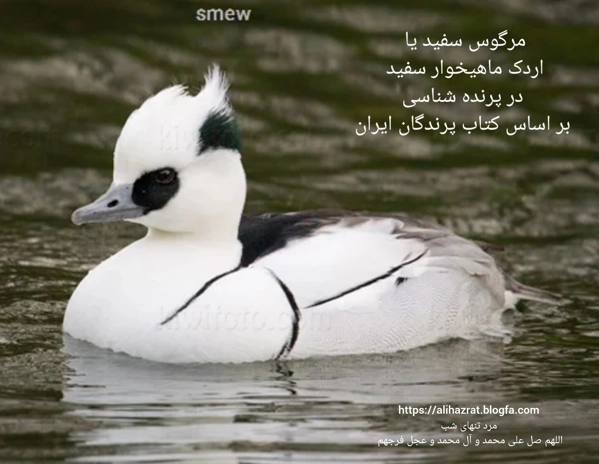 عکس پرسش