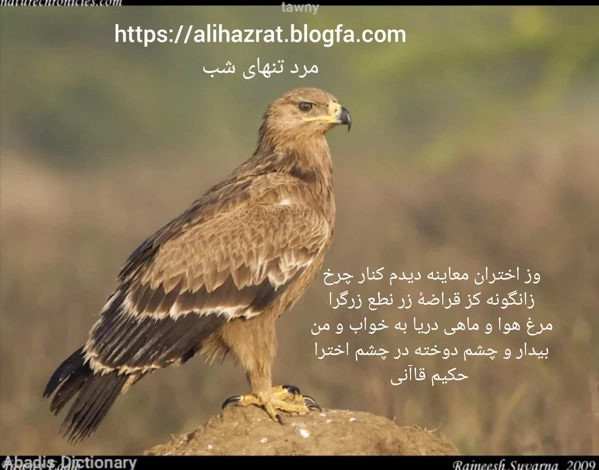 عکس پرسش