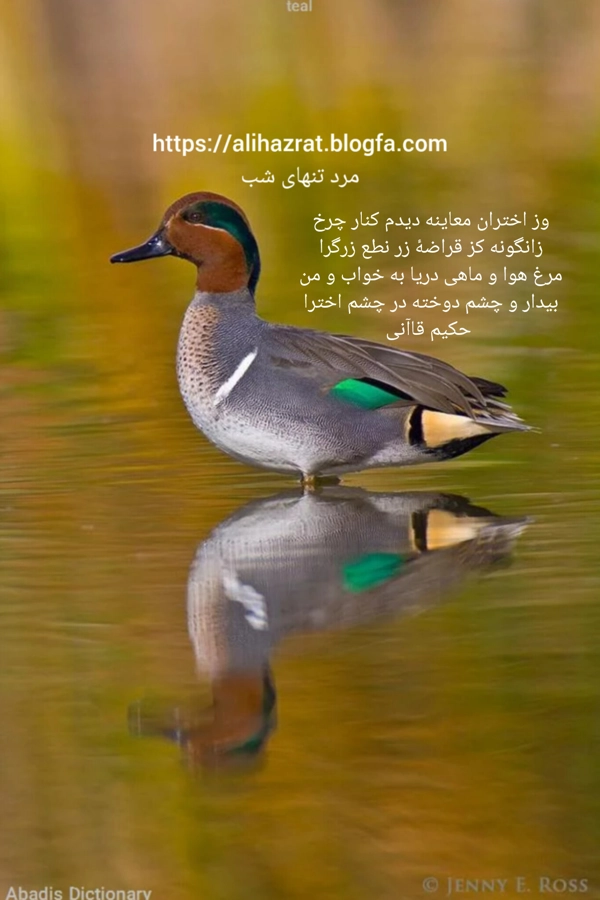 عکس پرسش