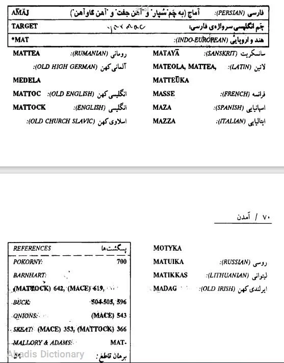 اماج - معنی در دیکشنری آبادیس