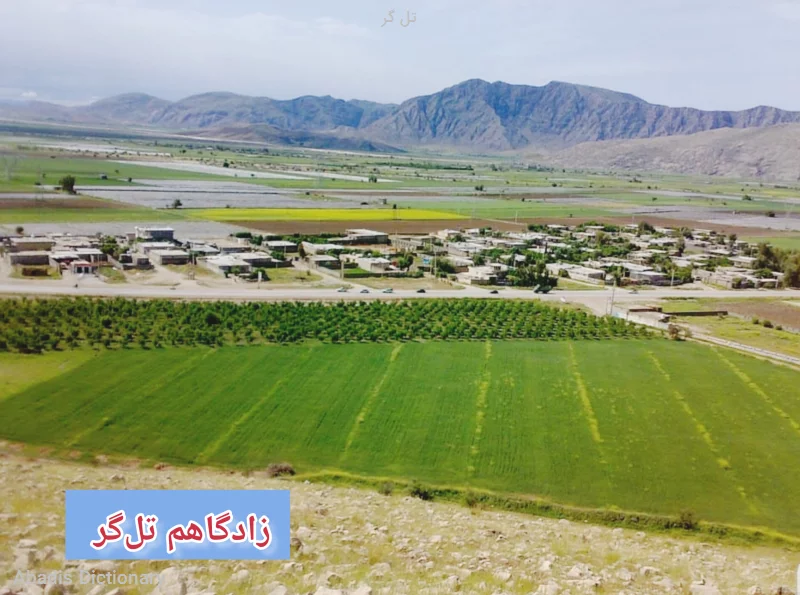 تل گر - معنی در دیکشنری آبادیس