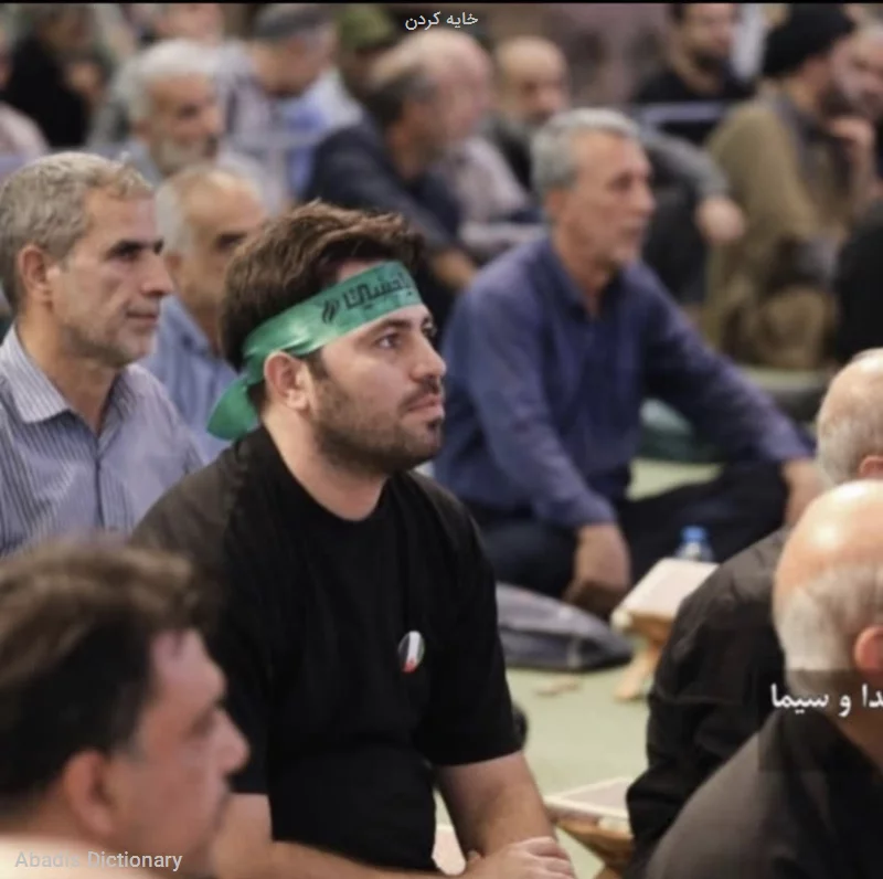خایه کردن - معنی در دیکشنری آبادیس