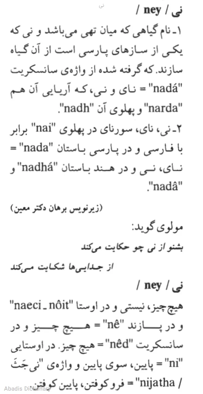 نی - معنی در دیکشنری آبادیس