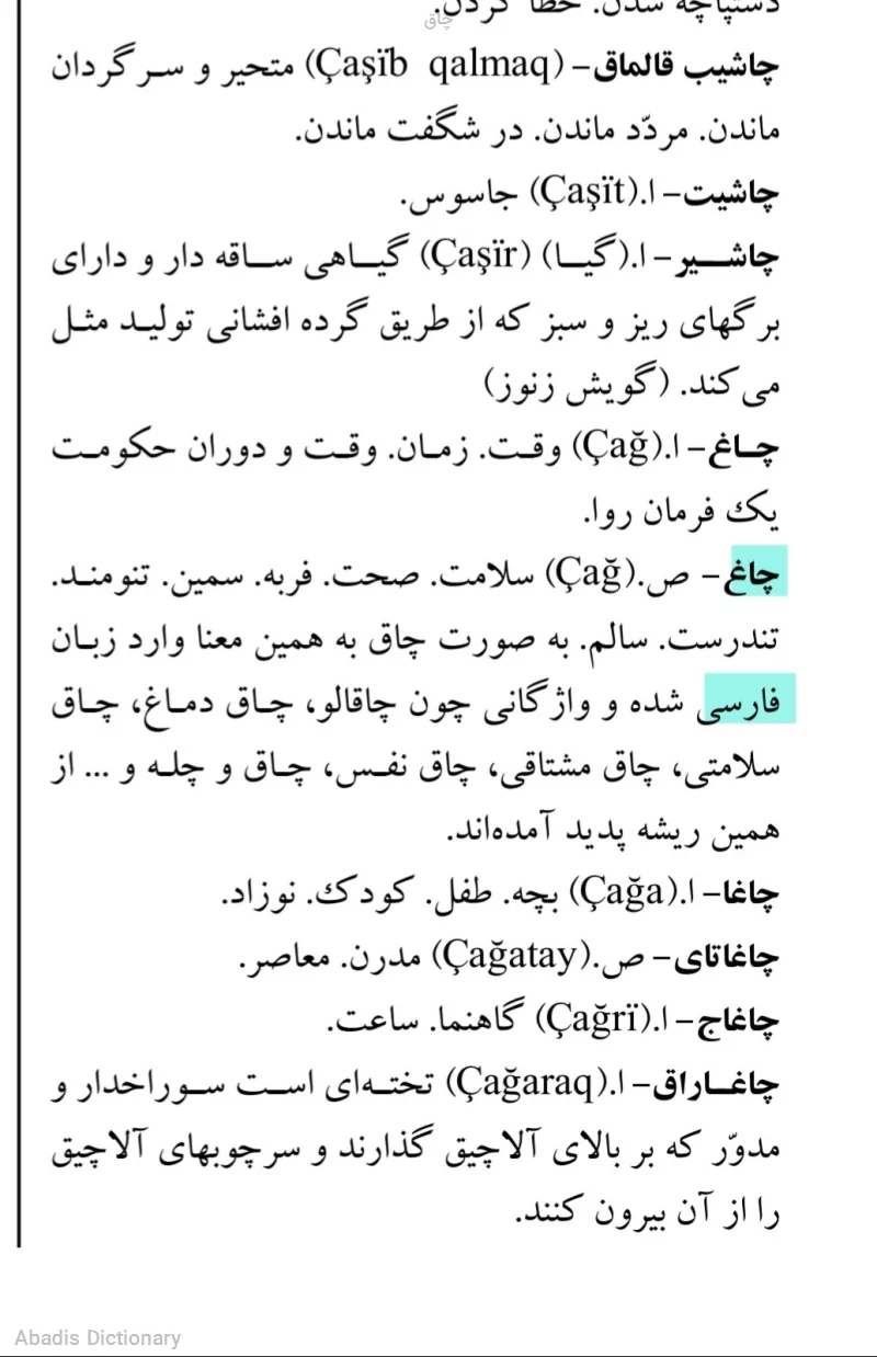 چاق - معنی در دیکشنری آبادیس