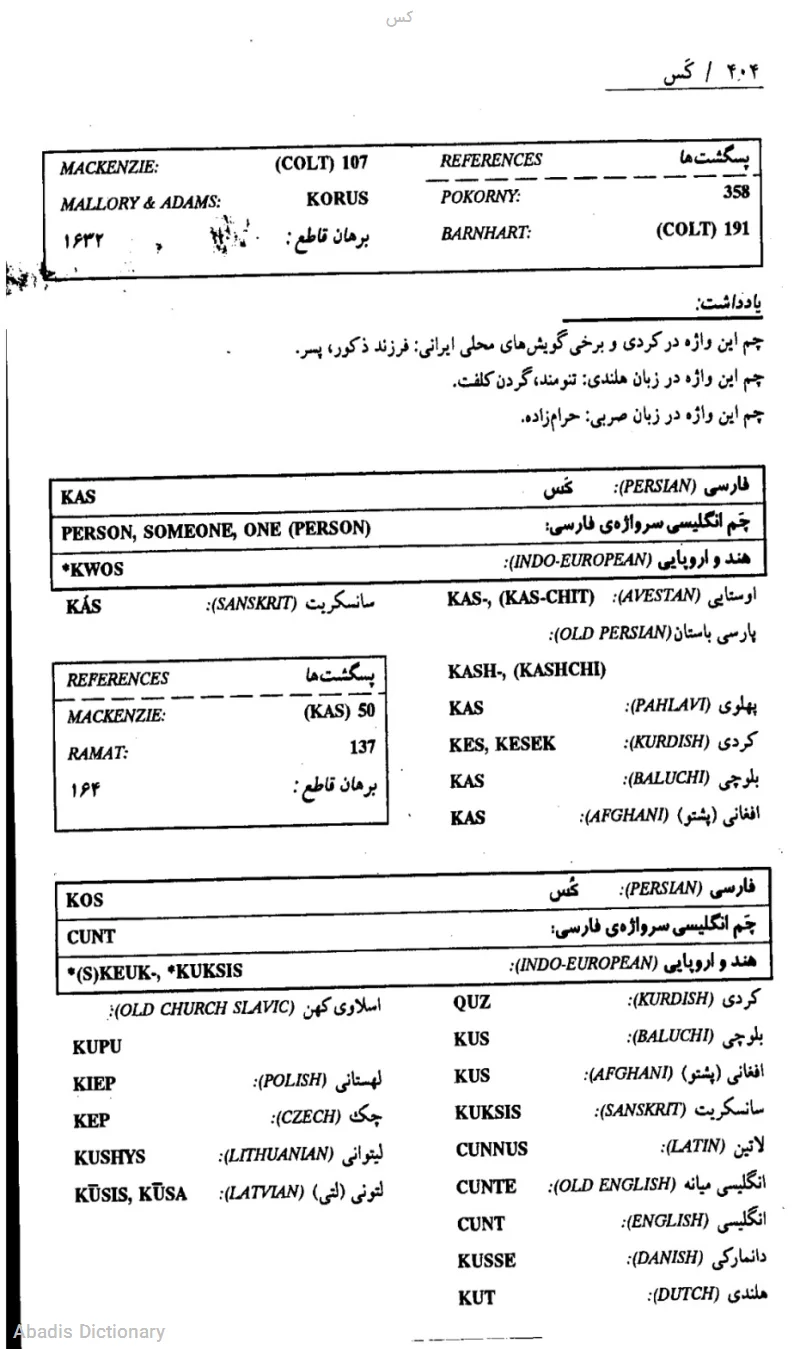 کس به انگلیسی - معنی در دیکشنری آبادیس