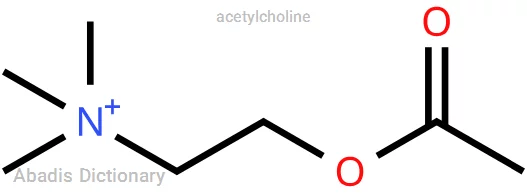 acetylcholine