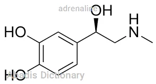 adrenaline