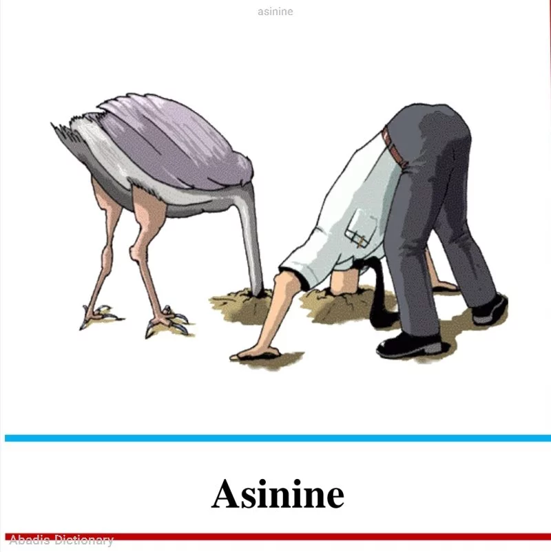 asinine