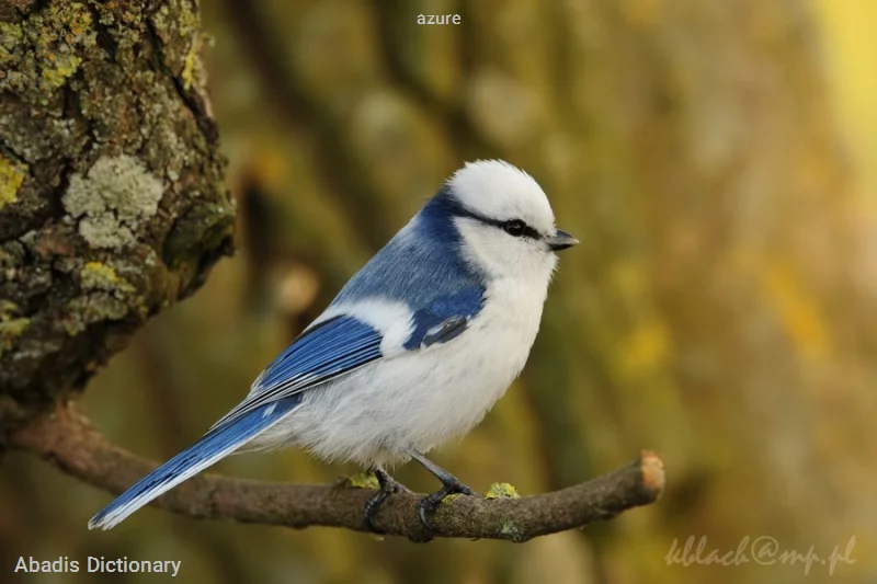 azure