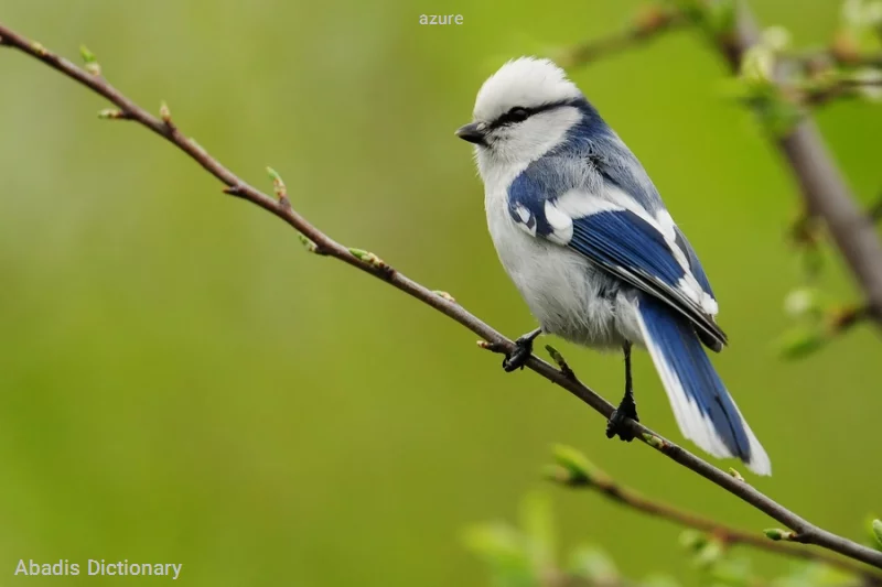 azure