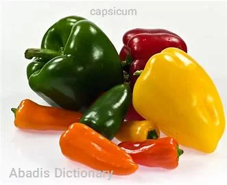 capsicum