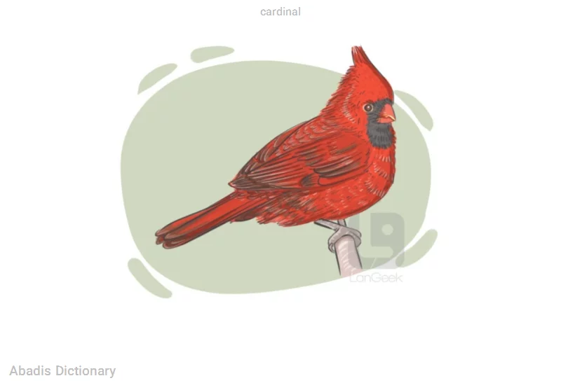 cardinal