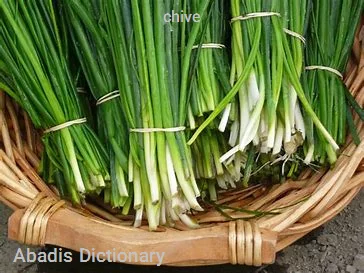 chive