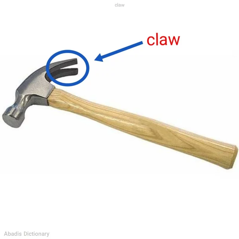 claw