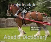 clydesdale