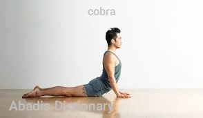 cobra