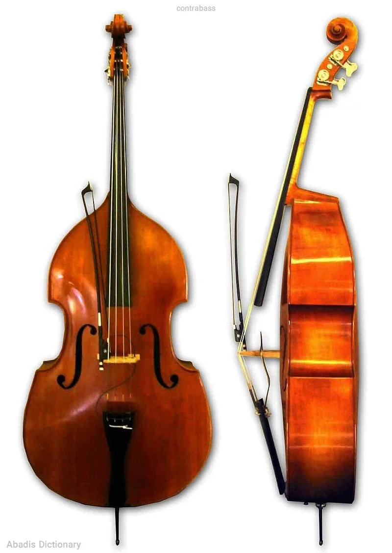 contrabass