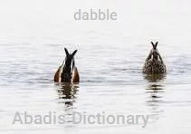 dabble
