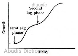 diauxic