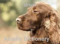 drivel