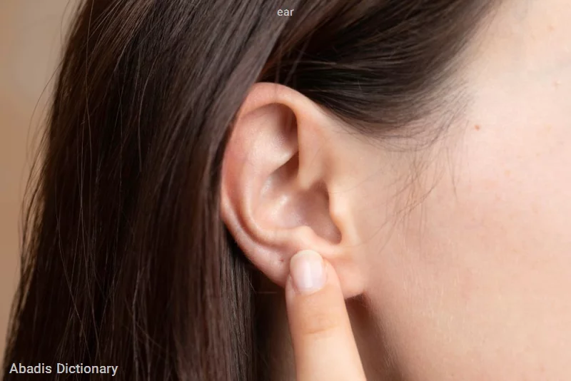 EAR