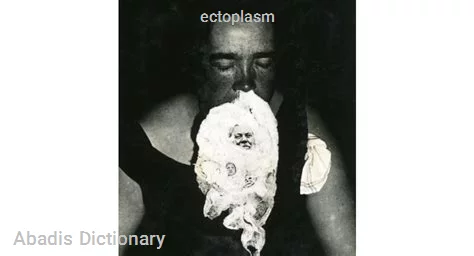 ectoplasm