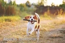fetcher