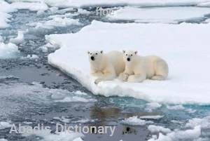 floe