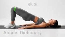 glute