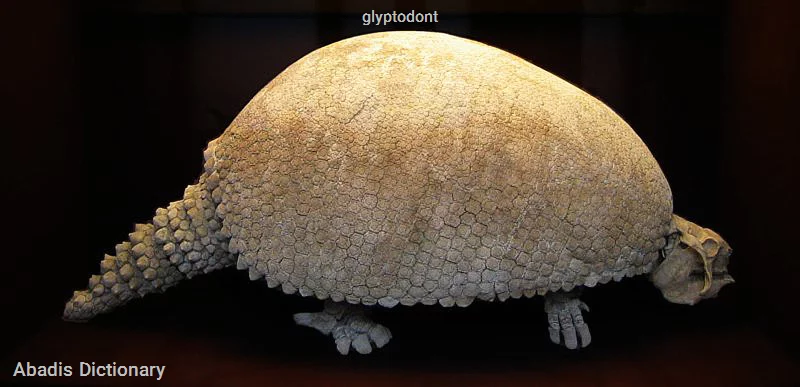 glyptodont