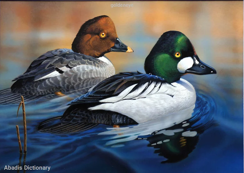 goldeneye